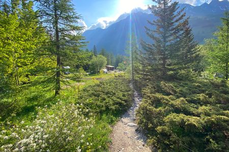 2023_camping_des_glaciers_fotos_claus_baalmann6.jpg